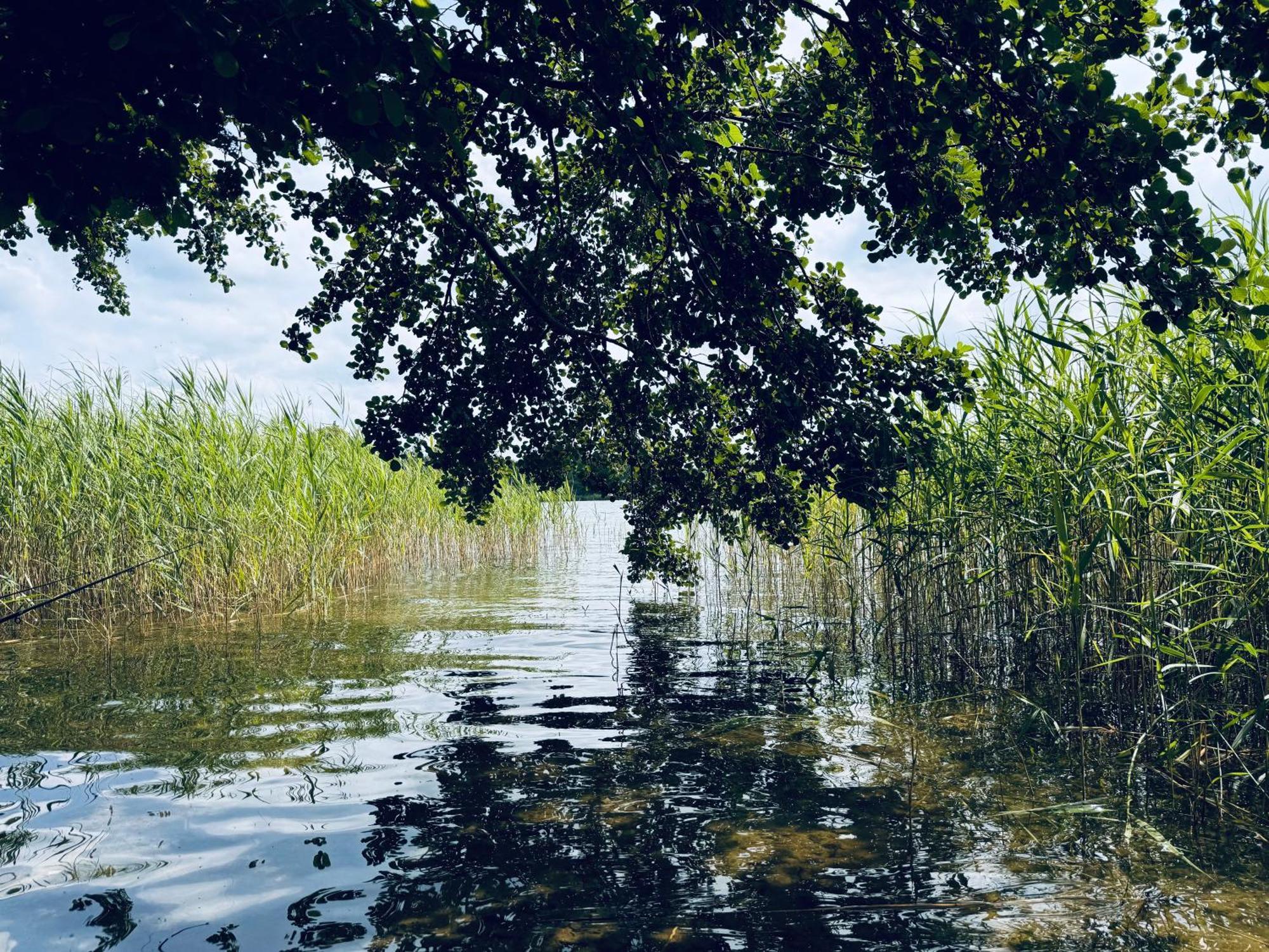 K357 - Ferienwohnung - Moin Moin - Poenitz - Scharbeutz Ratekau Exteriör bild